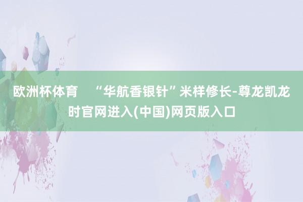 欧洲杯体育    “华航香银针”米样修长-尊龙凯龙时官网进入(中国)网页版入口