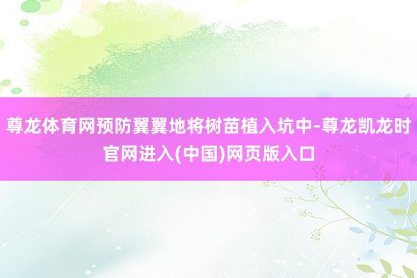 尊龙体育网预防翼翼地将树苗植入坑中-尊龙凯龙时官网进入(中国)网页版入口