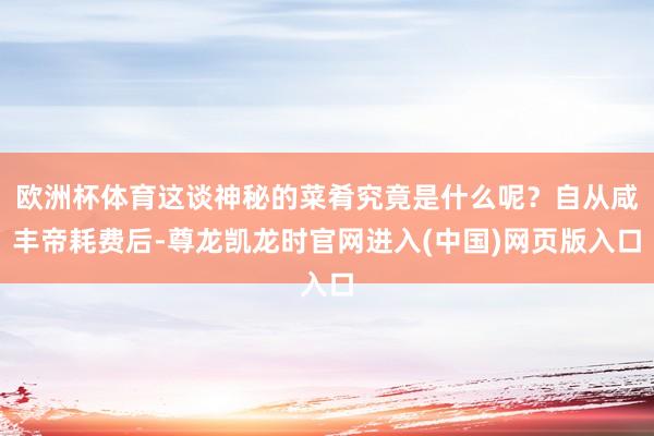 欧洲杯体育这谈神秘的菜肴究竟是什么呢？自从咸丰帝耗费后-尊龙凯龙时官网进入(中国)网页版入口