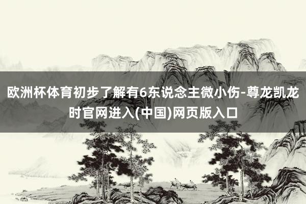欧洲杯体育初步了解有6东说念主微小伤-尊龙凯龙时官网进入(中国)网页版入口