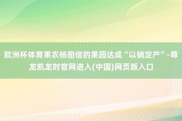 欧洲杯体育果农杨图信的果园达成“以销定产”-尊龙凯龙时官网进入(中国)网页版入口