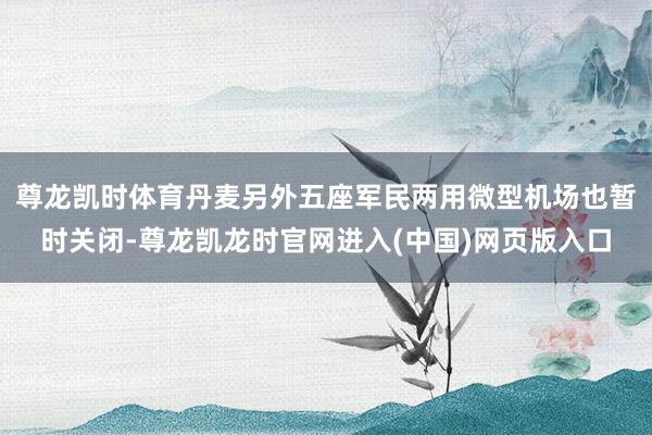 尊龙凯时体育丹麦另外五座军民两用微型机场也暂时关闭-尊龙凯龙时官网进入(中国)网页版入口