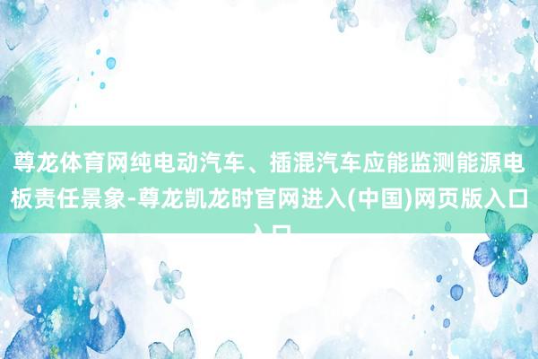尊龙体育网纯电动汽车、插混汽车应能监测能源电板责任景象-尊龙凯龙时官网进入(中国)网页版入口
