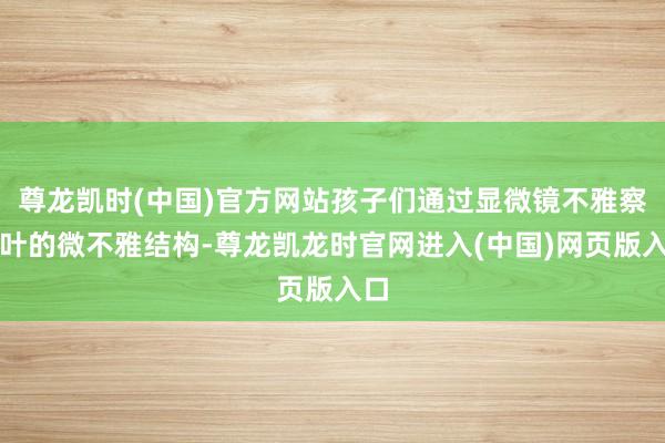尊龙凯时(中国)官方网站孩子们通过显微镜不雅察竹叶的微不雅结构-尊龙凯龙时官网进入(中国)网页版入口