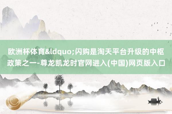 欧洲杯体育&ldquo;闪购是淘天平台升级的中枢政策之一-尊龙凯龙时官网进入(中国)网页版入口